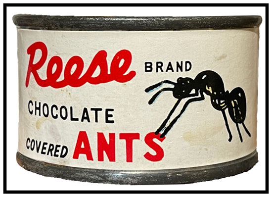 Insects for Dinner